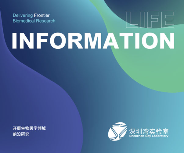 廣州VI設(shè)計(jì)公司逐步發(fā)展的路徑與策略