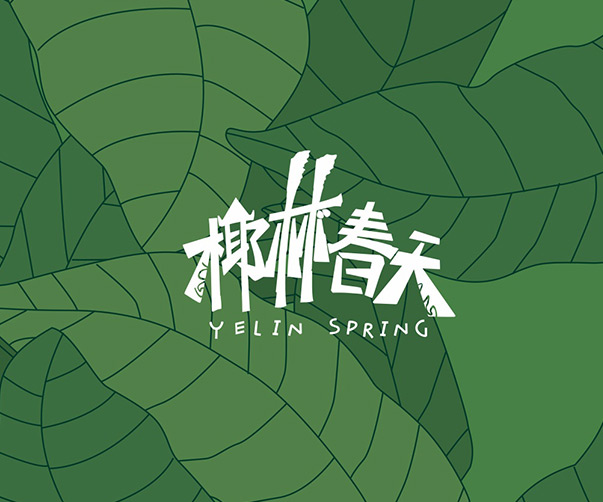 福建省vi設(shè)計專業(yè)機構(gòu)介紹