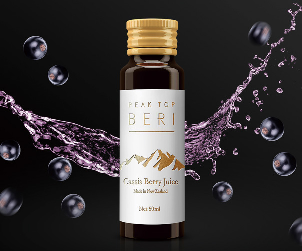 vi視覺轉達設計理念_打造創意之美